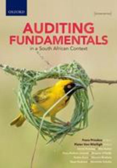 Auditing Fundamentals in a South African Context Bundle Pack